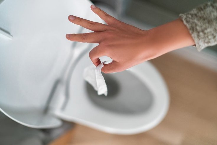 Are Flushable Wipes Safe to Flush